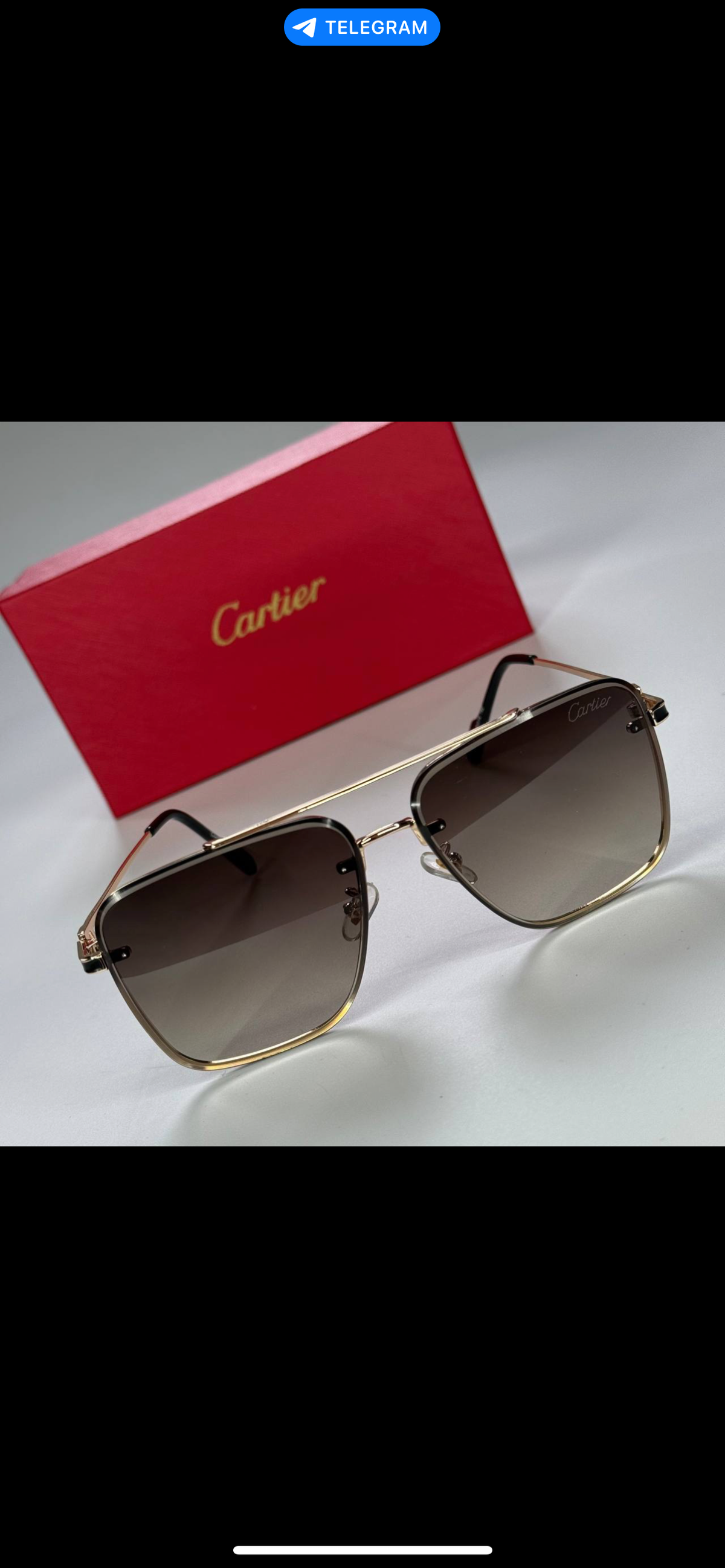 CARTIER SUNGLASSES