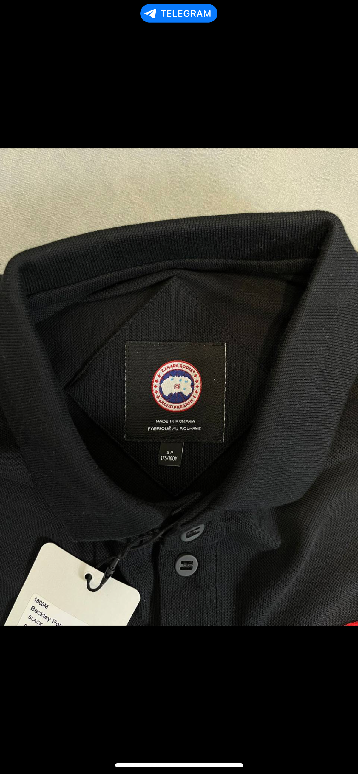 CG POLO