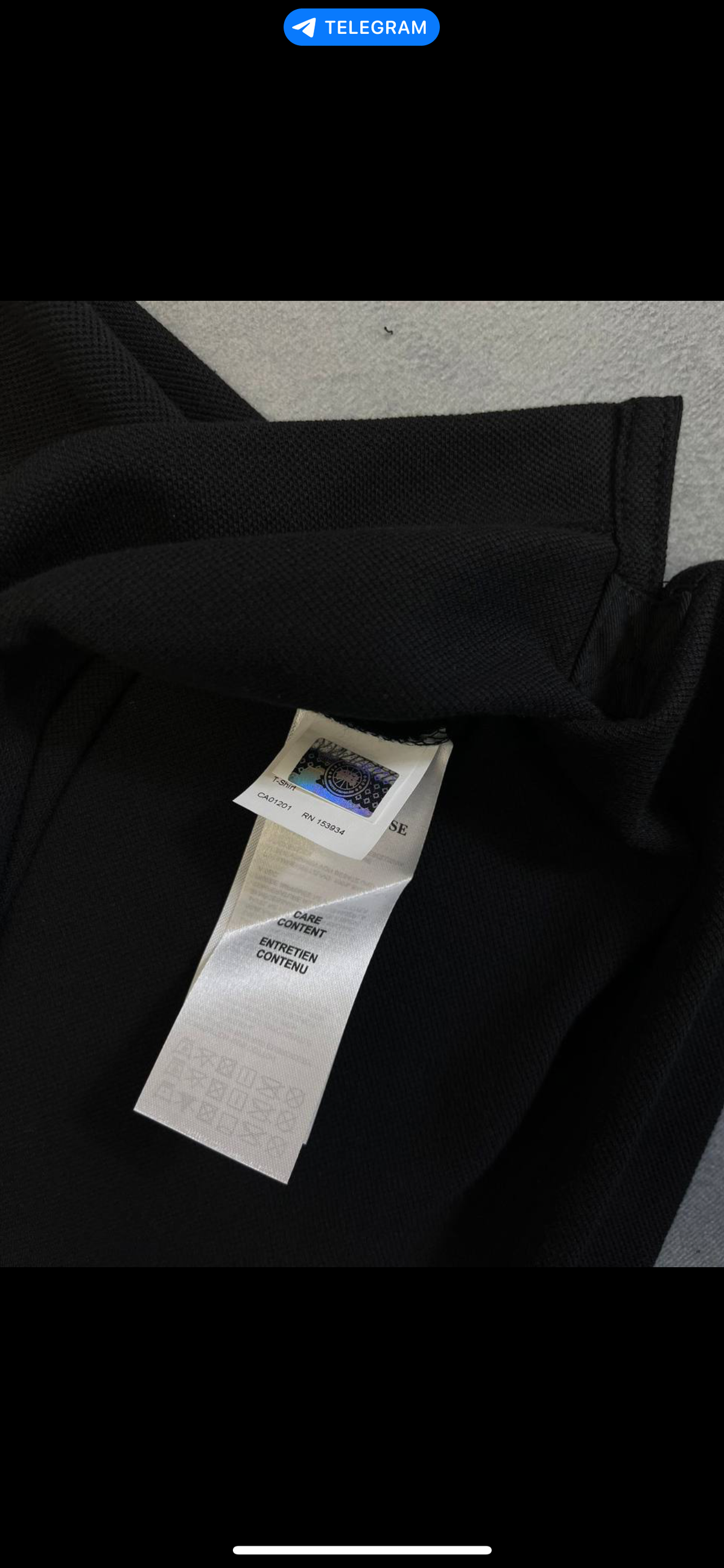 CG POLO