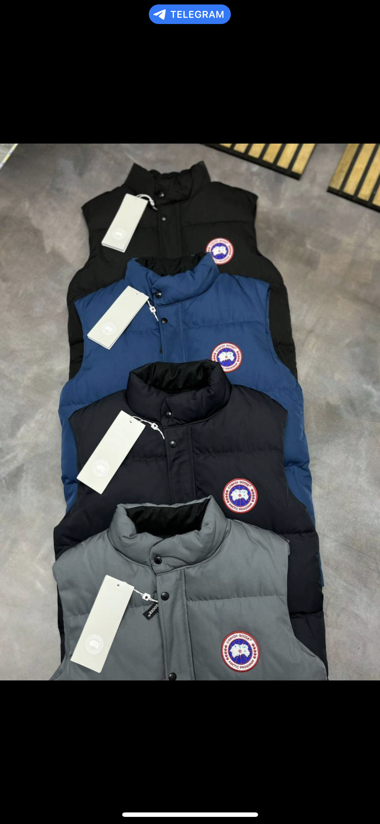 CG GILET